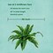 Artificial Fake Ferns, 2pcs Artificial Boston Fern Plant, 24 Leaves for Each Bouquet, Artificial Plant for Indoor, Outdoor, Home Decor, Garden Decor,Green